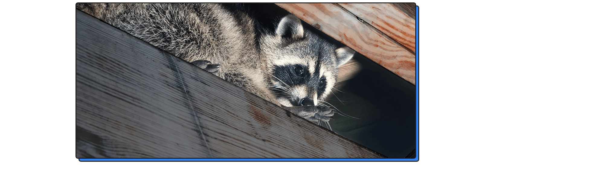 迅速対応！神奈川県地元を熟知した職人の技で解決