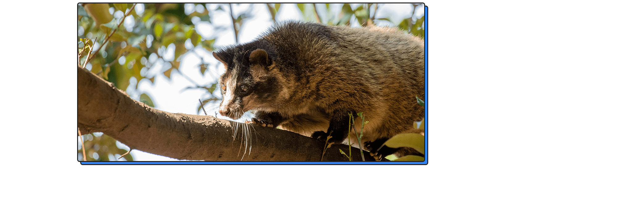 迅速対応！神奈川県地元を熟知した職人の技で解決